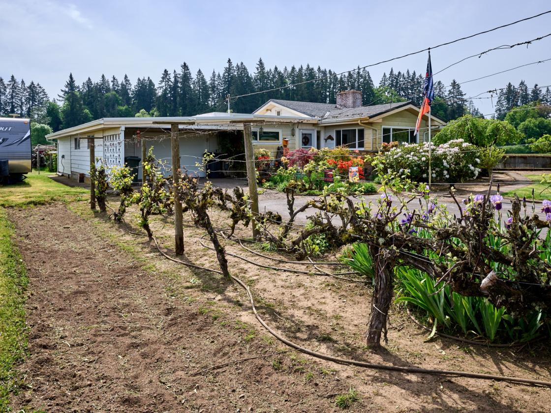 Horse Property in Aurora/Canby Area Deadend Road - photo 19