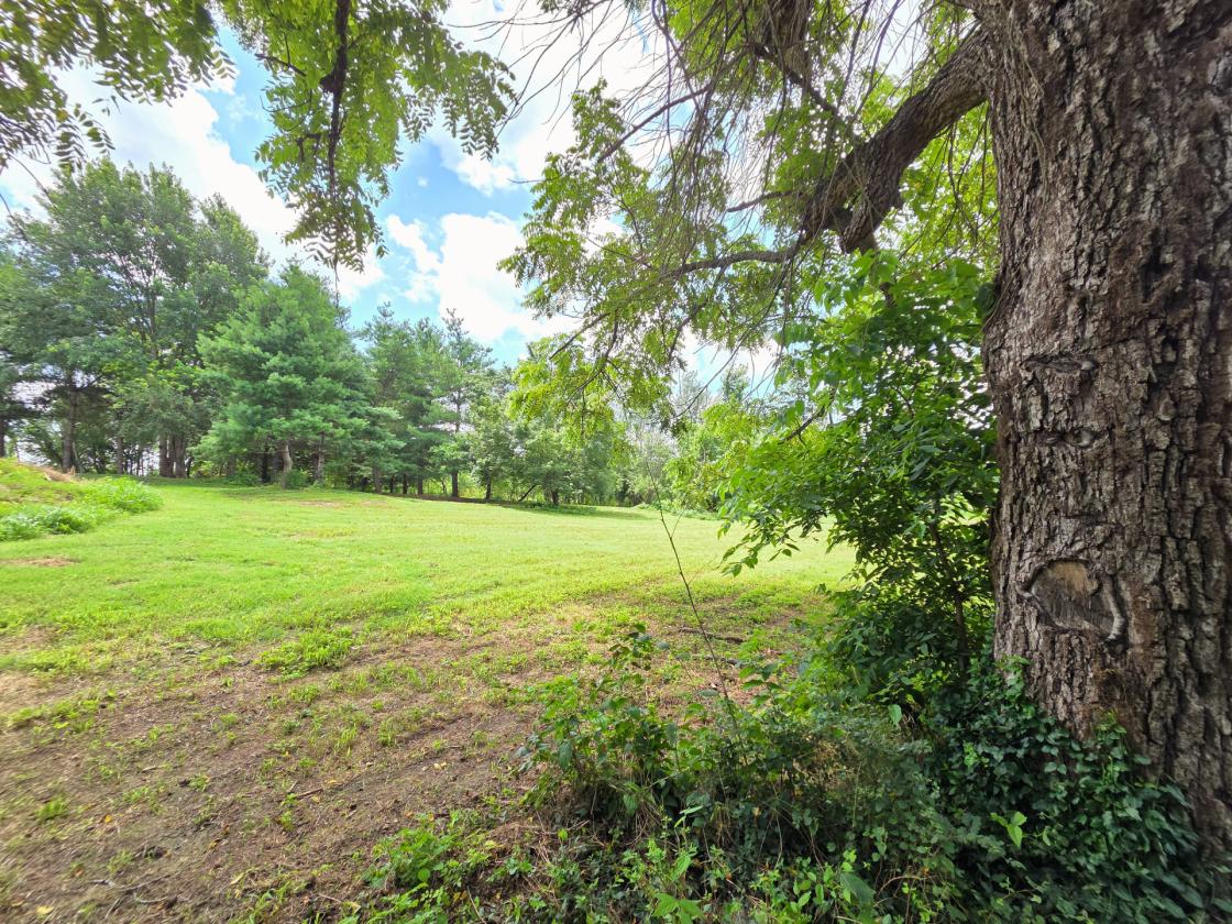 Legacy 56 ac. Estate- 7,800 sqft home, barn, creek - photo 23