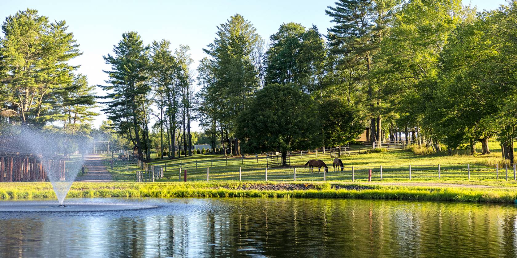 Horse Property for sale.