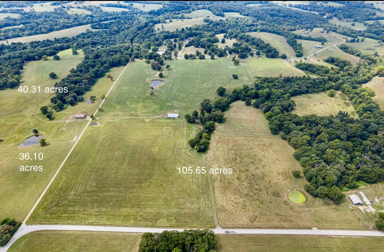 206 beautiful mostly level land - photo 24