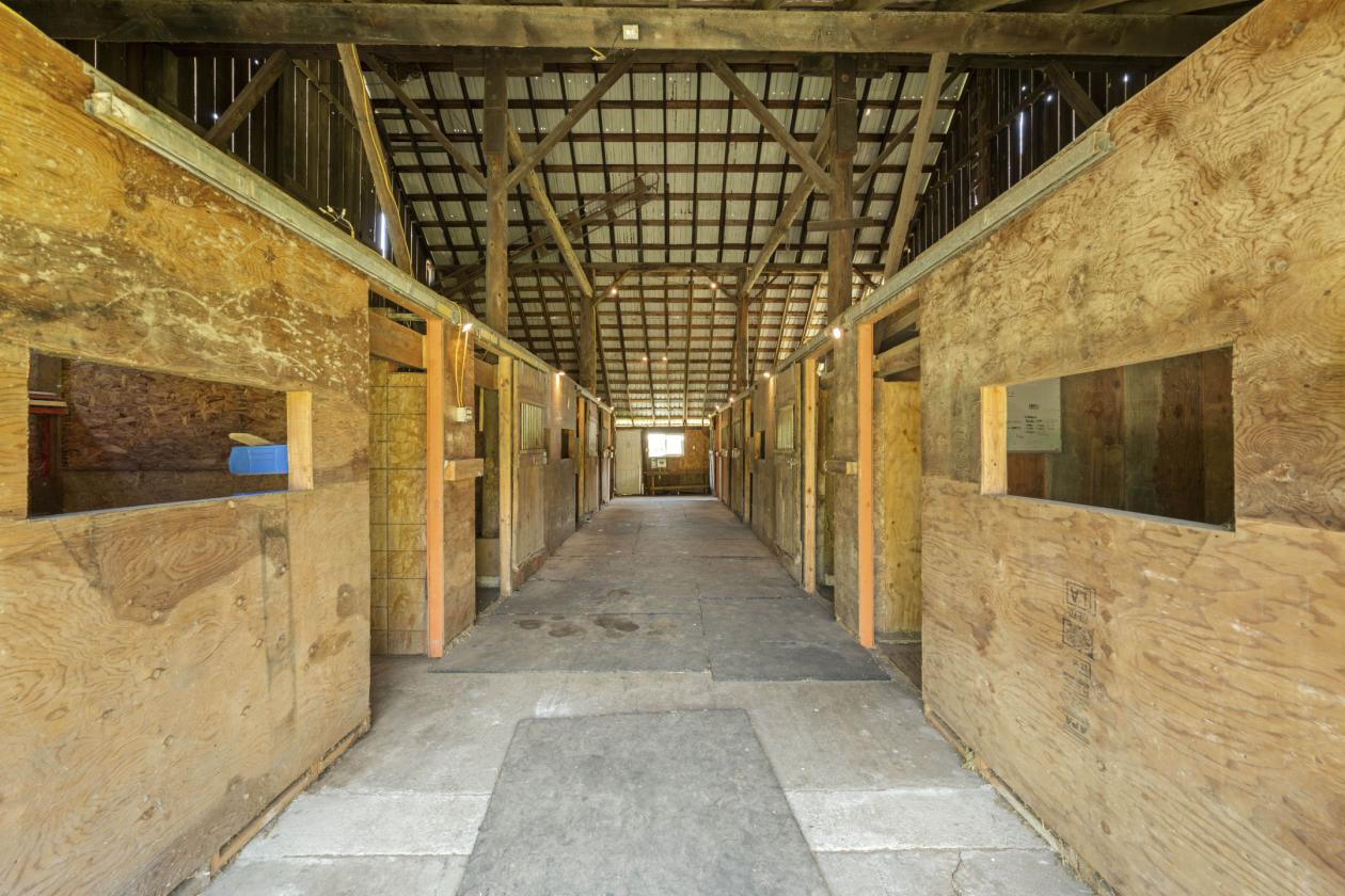 Updated Farmhouse Equestrian Estate - photo 27