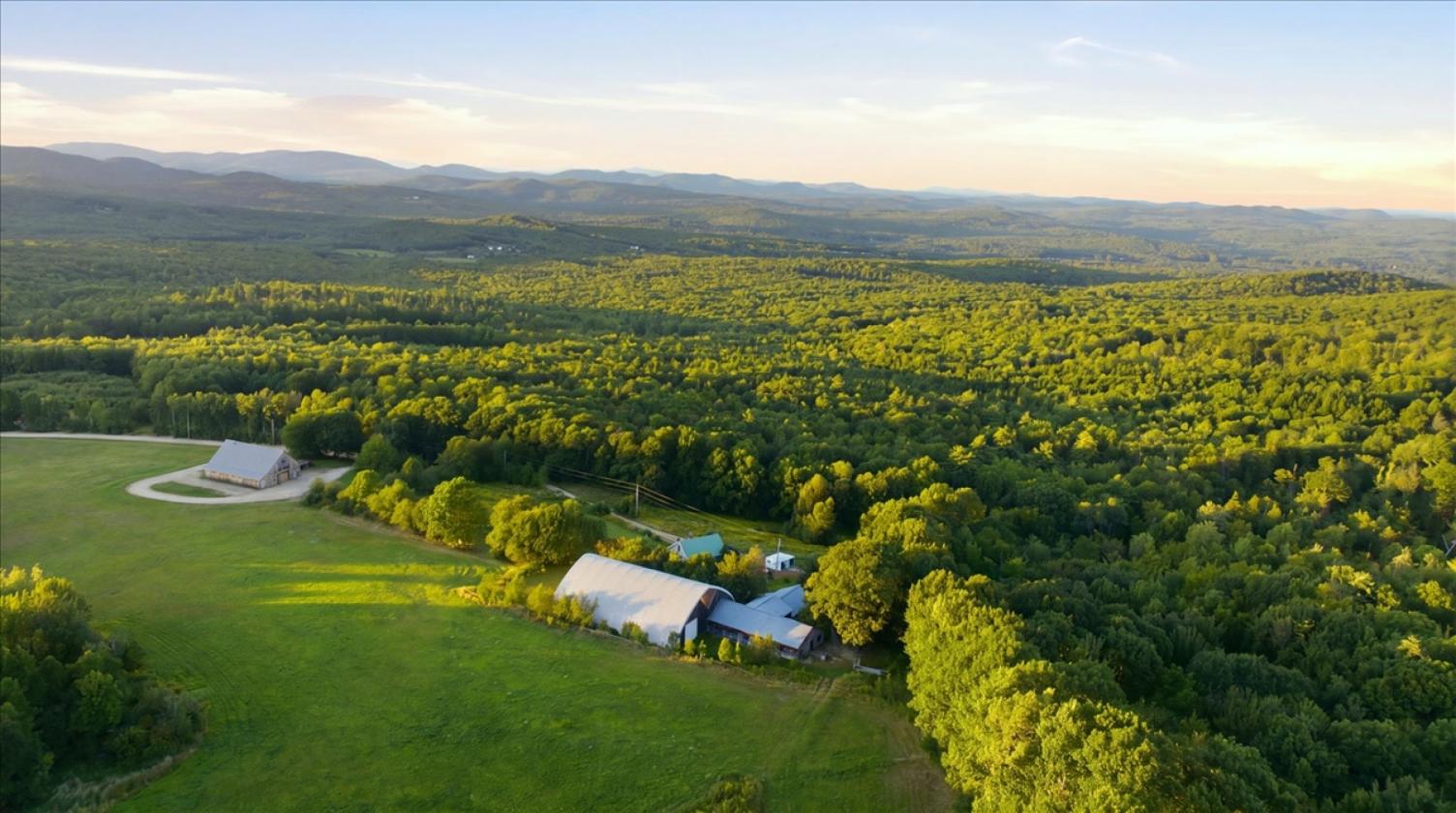Maine Horse Farm - photo 4