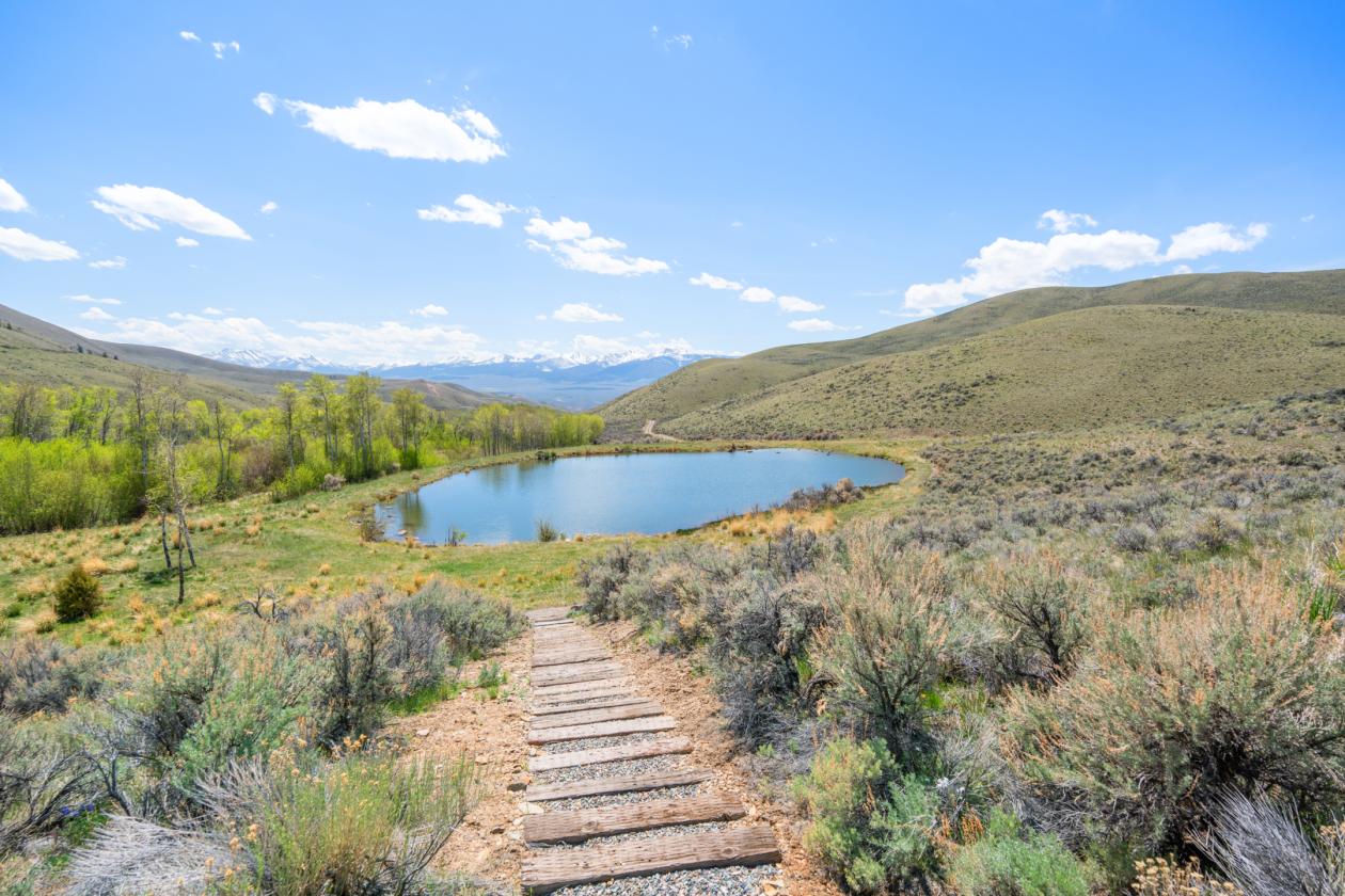 Private Idaho Retreat on 325 acres! - photo 11