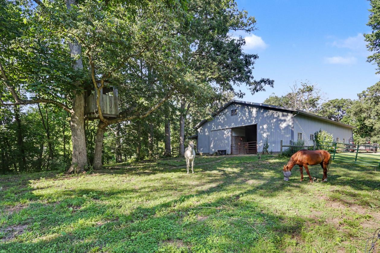 Premier Equestrian Country Estate |24 Acres - photo 7