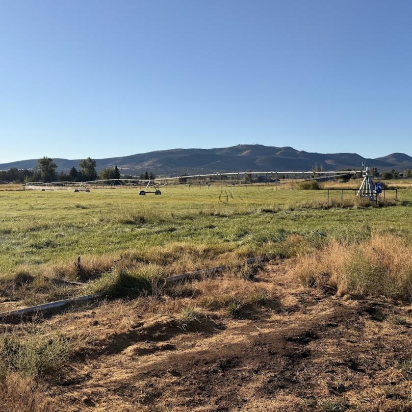 29 Acres | 24.34 Irrigated | Horse-Ready - photo 28