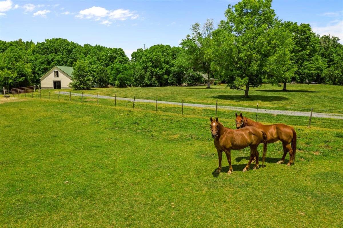 Horse Farms for Sale in Union County NC