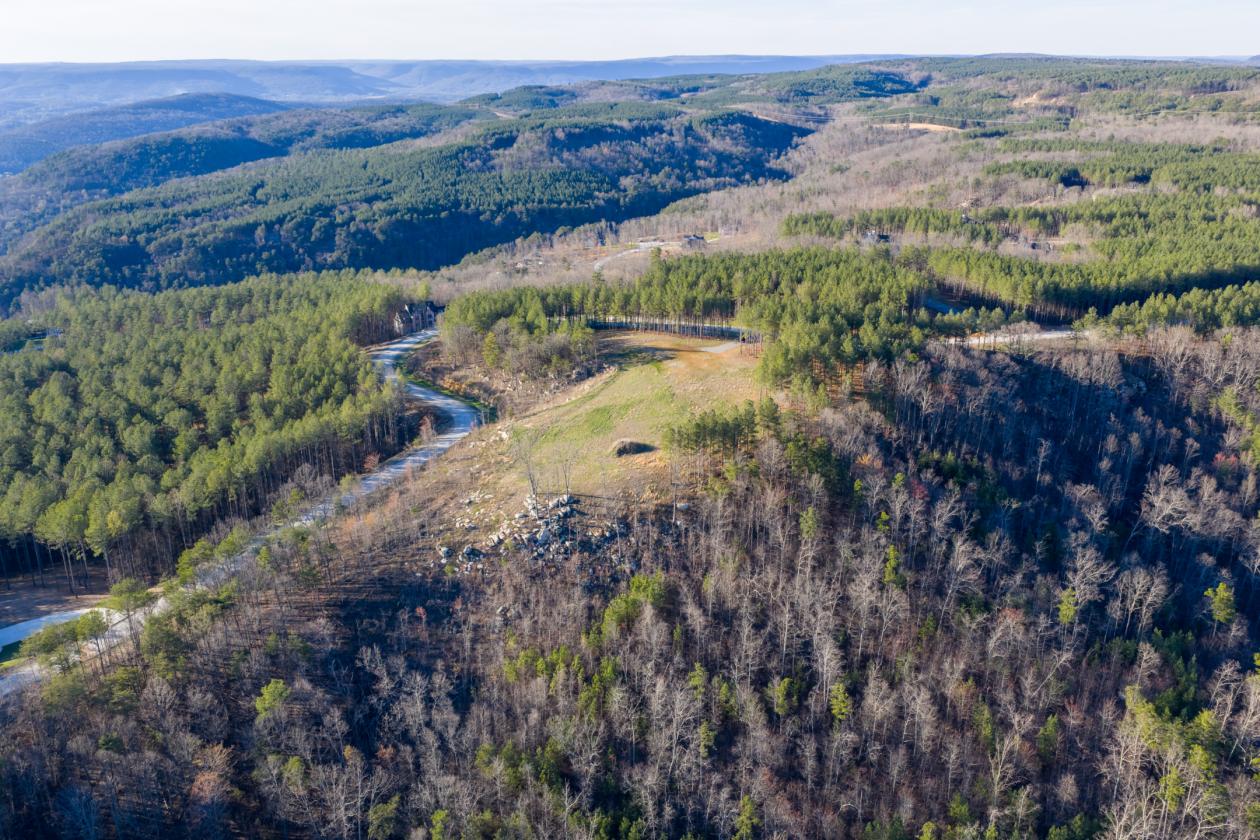 Incredible views and no state income tax! - photo 4