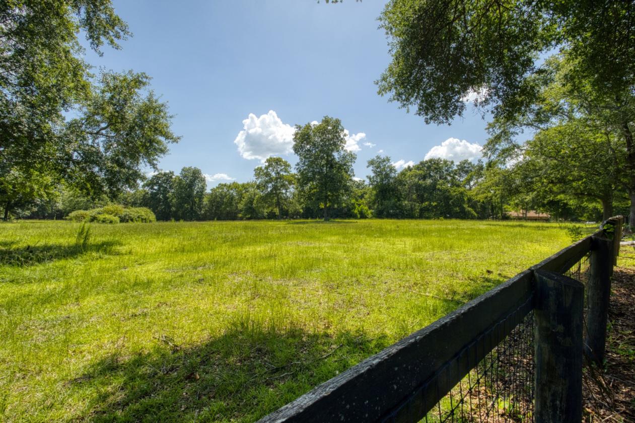 Gorgeous Pastures & Endless Potential - photo 20