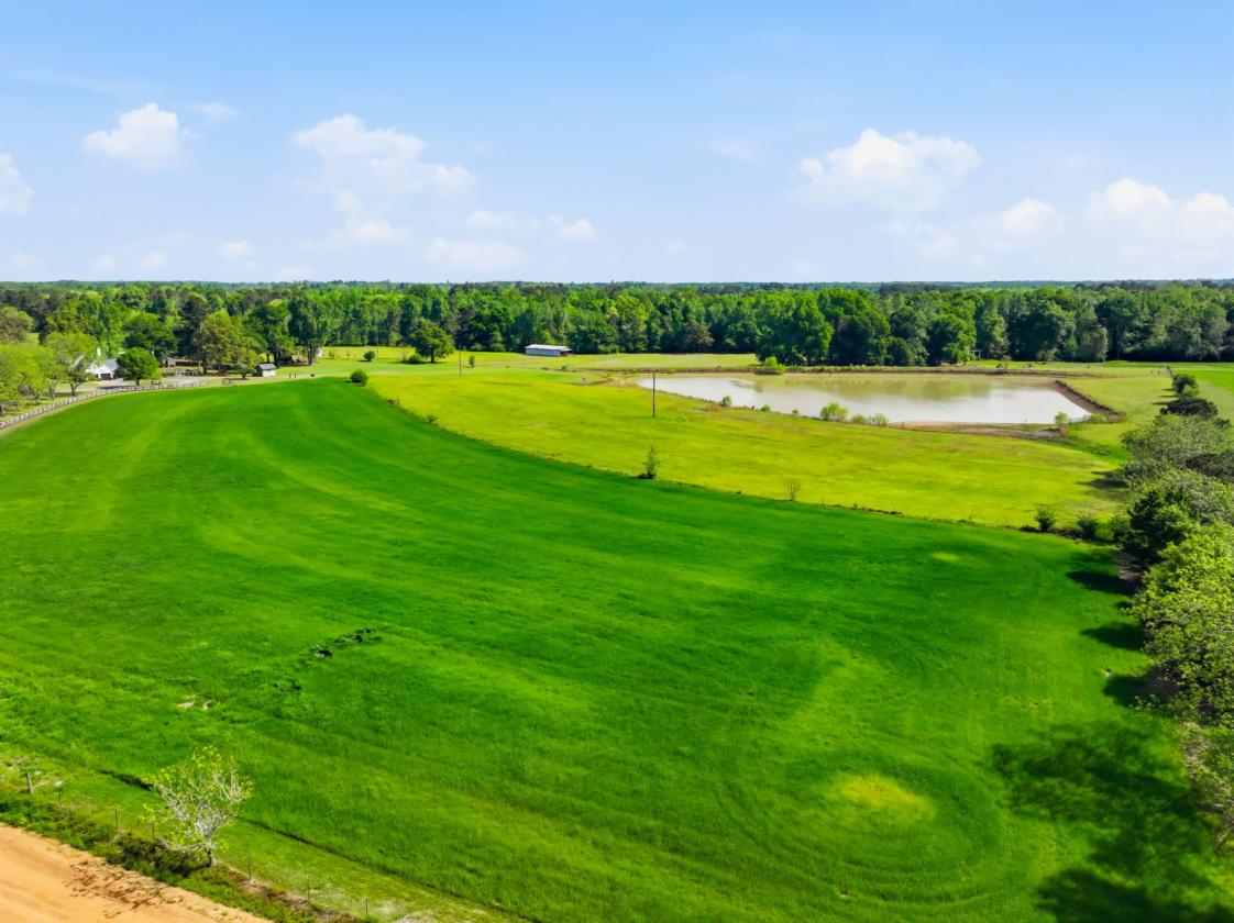 Piney Mount Farm - photo 27