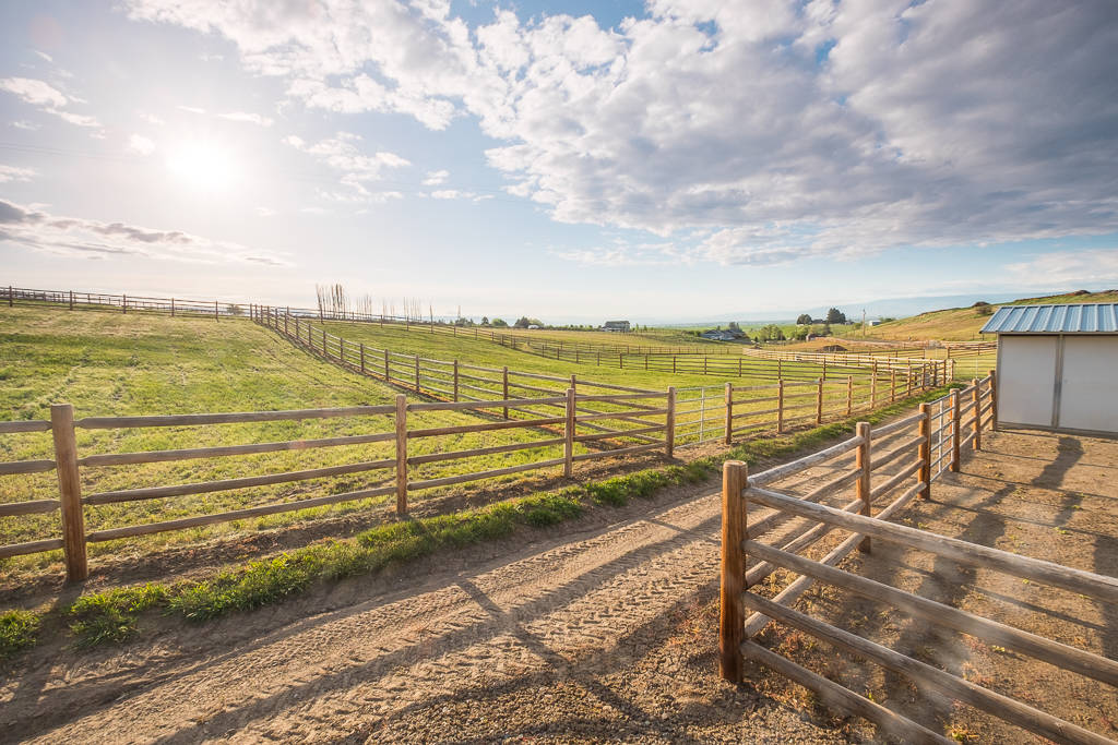 A Sound Investment For Any Horse Person! Ellensburg, Kittitas County