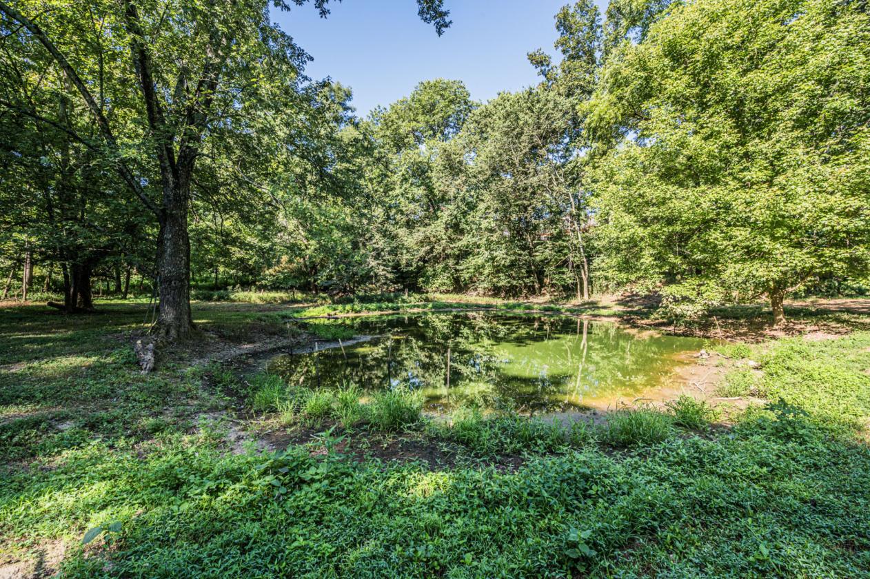 A Home Place Where Quiet Life Meets Horse Country - photo 26