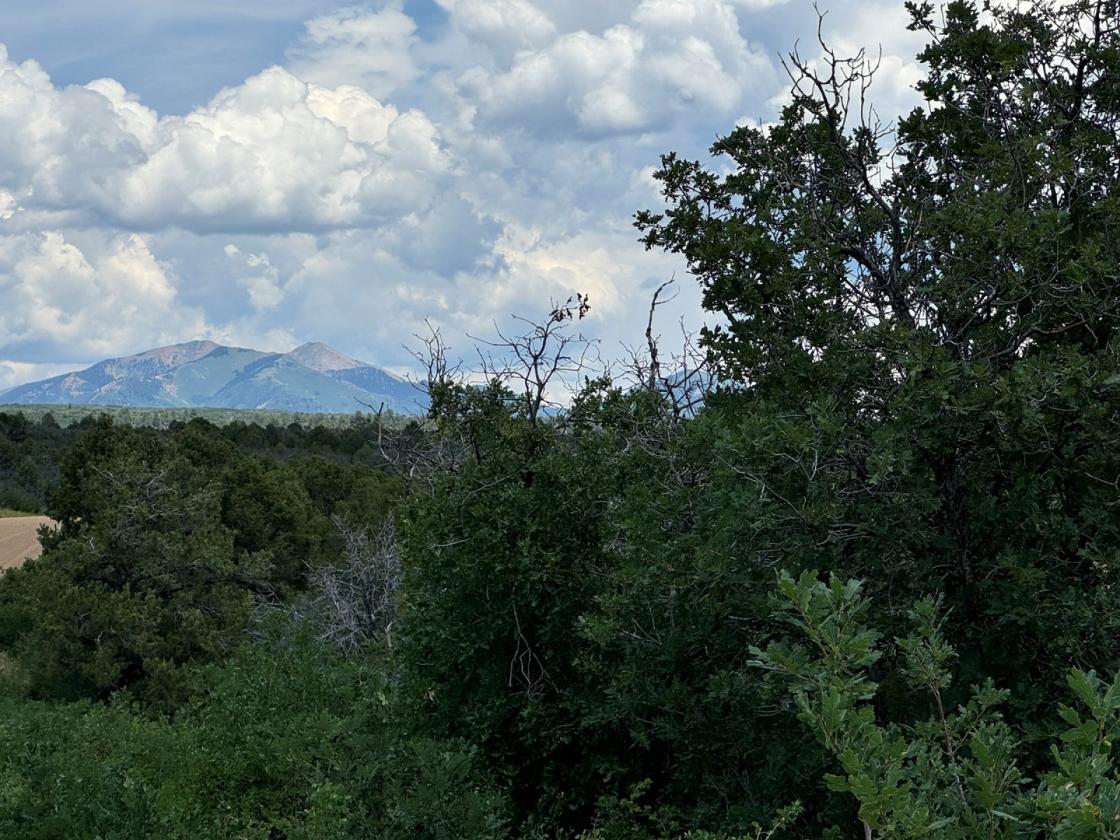 36 Acres of Mountain Land for Your Horses - photo 5