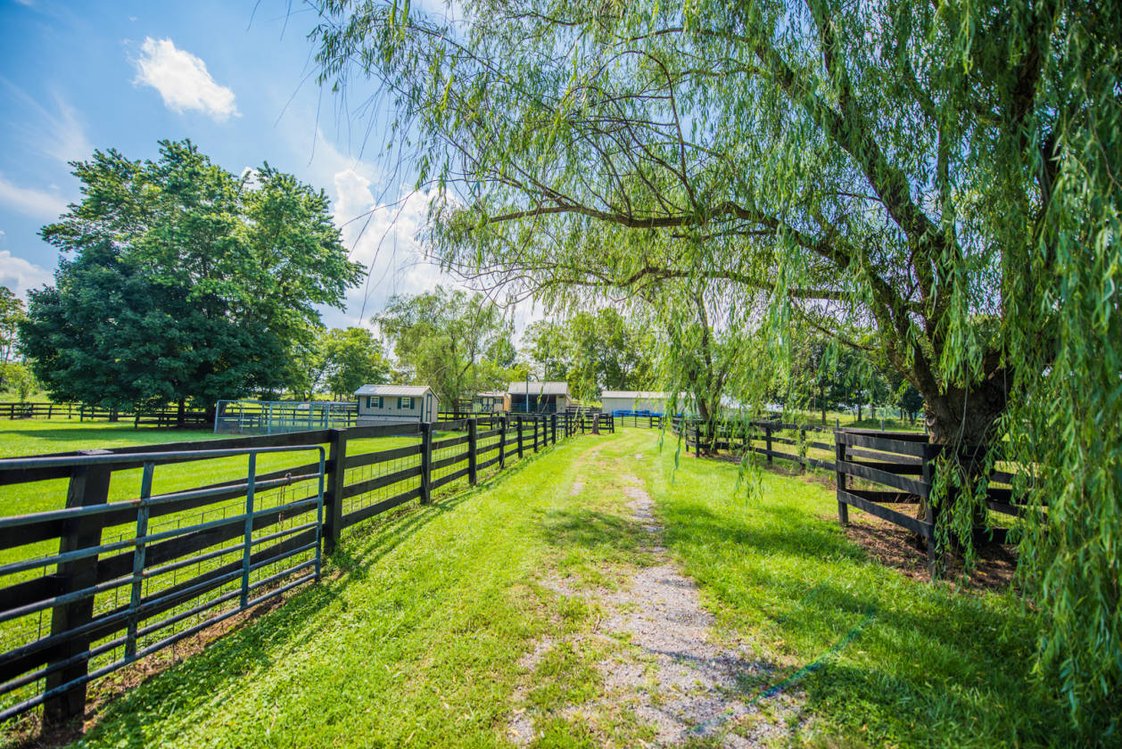 30+ acre Horse property conveniently located in Clarke county, VA