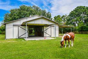 Horse Property for sale.