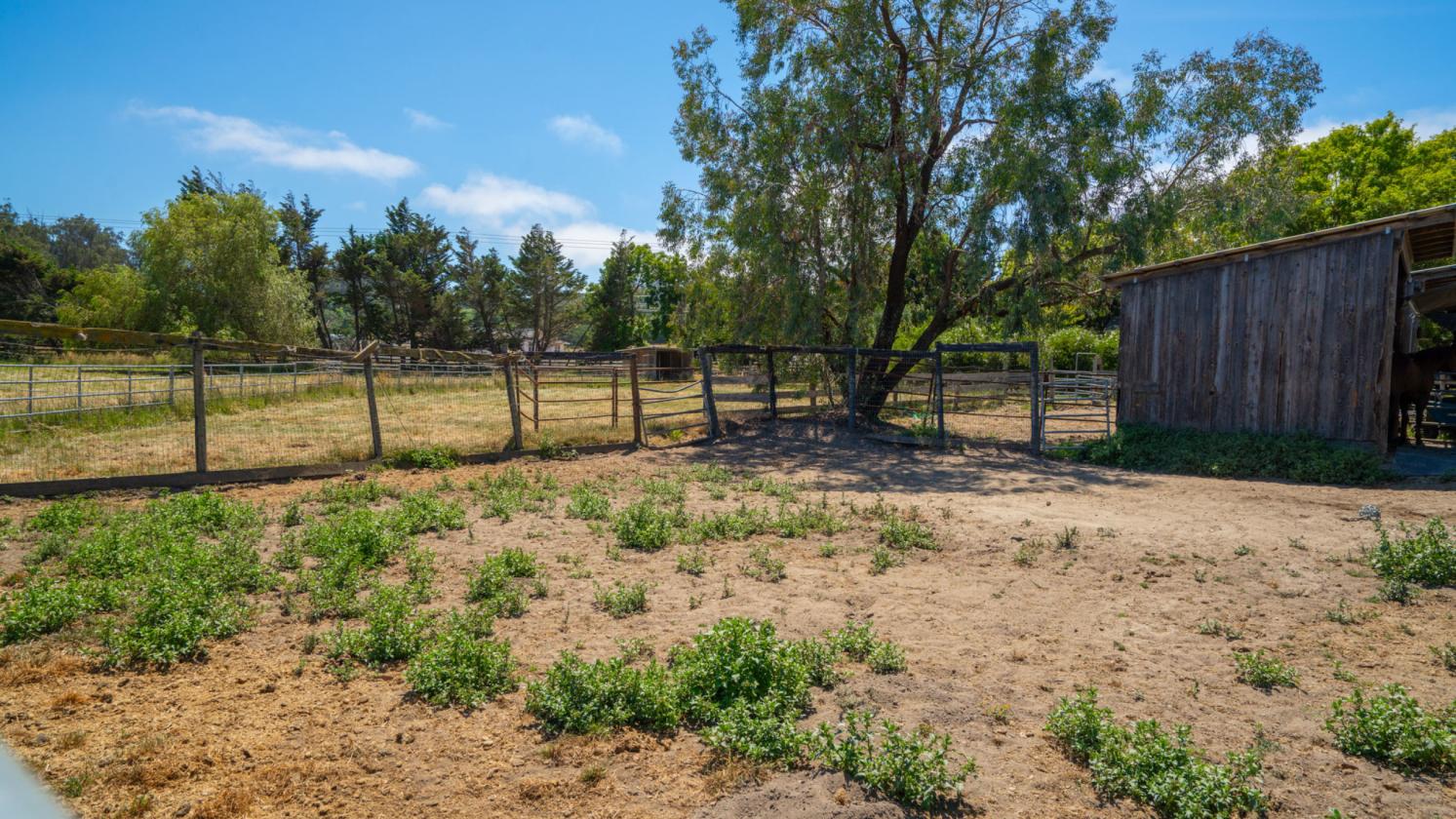 Beautiful 10 Acre Horse Property - photo 25