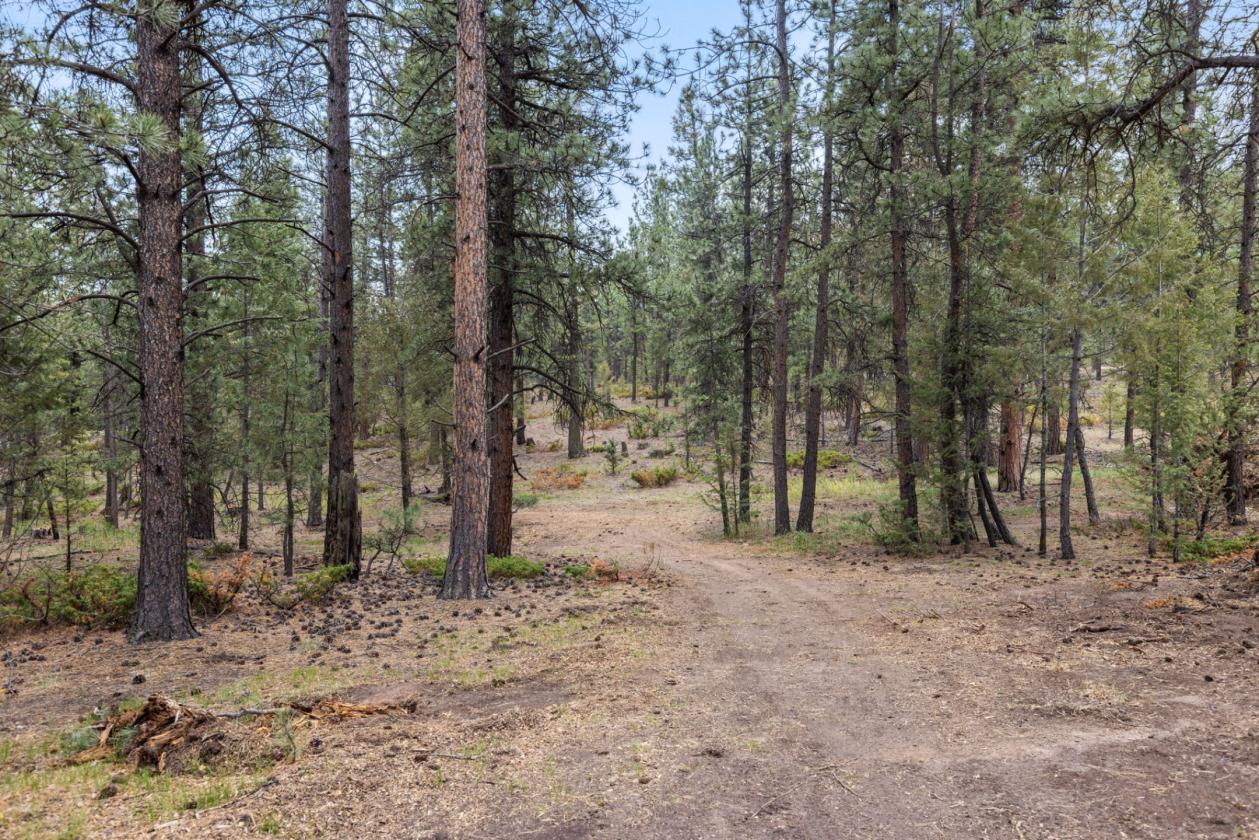 WHERE COLORADO HORSE COUNTRY MEETS LUXURY LIVING - photo 21