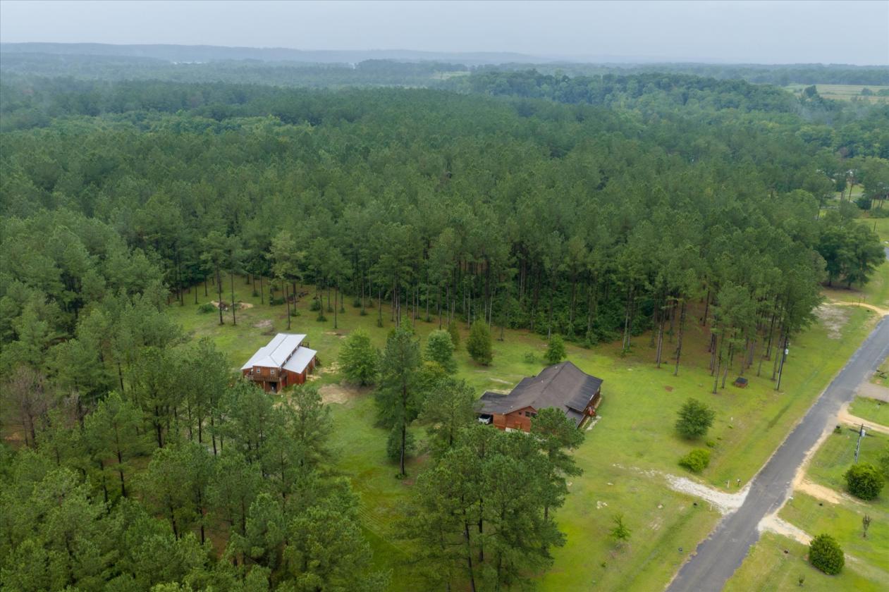 Custom Log Cabin on 9 Acres with 2 Horse Stalls - photo 7