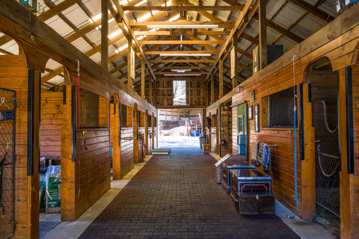 Fabulous Equestrian Property in Virginia Hunt Country! Delaplane