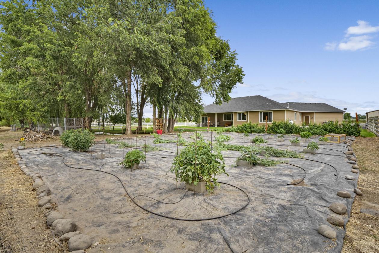 Modern Craftsman on 2.49± Irrigated Acres - photo 4