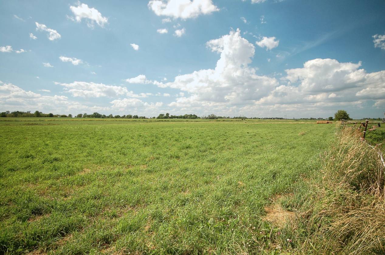 20 ac Horse Farm in Beecher, IL Beecher, Will County, Illinois