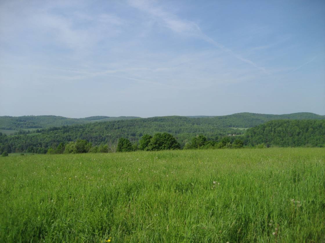 Amish Farm in Troupsburg, NY Troupsburg, Steuben County, New York