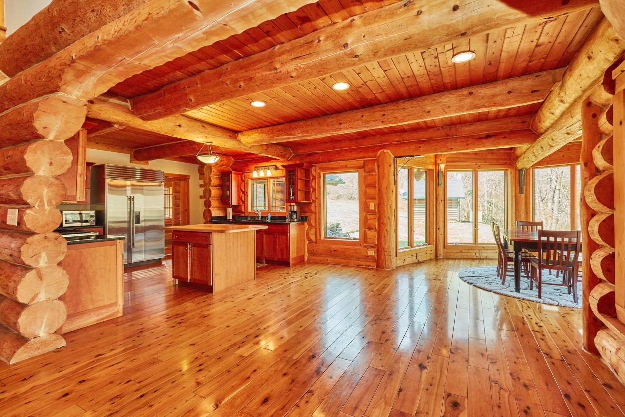 "Silverback Ranch" in Virginia foothills of Hume, Virginia Horse