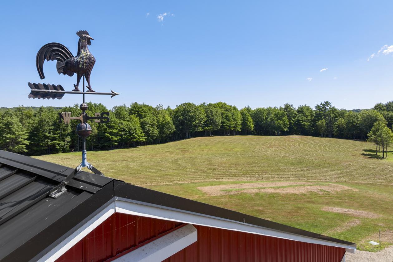 34 Acre Farm Opportunity in Midcoast - photo 21
