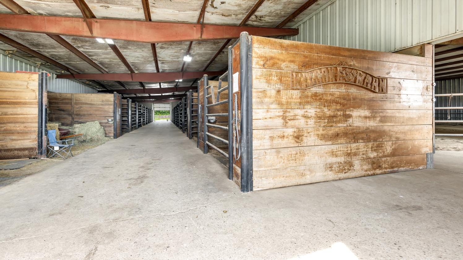 The Ultimate Equestrian Business Opportunity - photo 7
