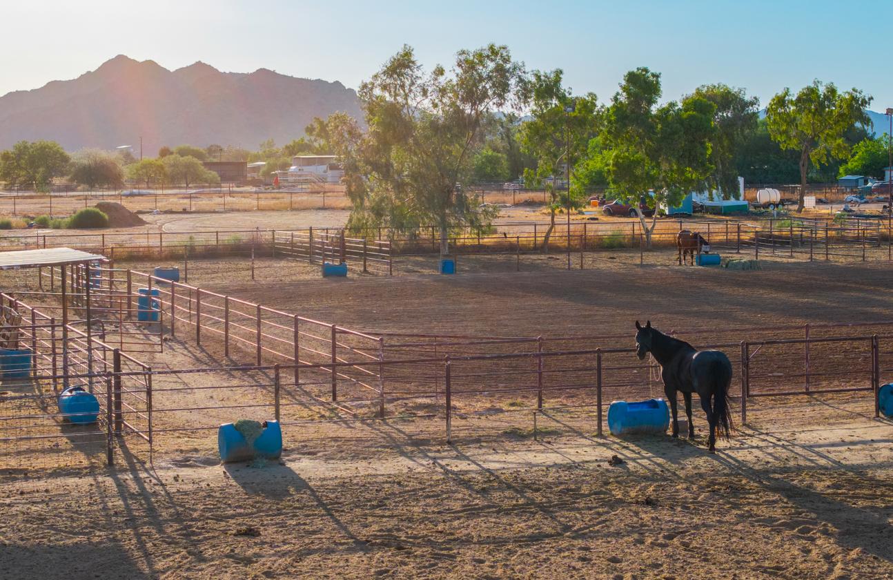 Horse Lovers Paradise - photo 22