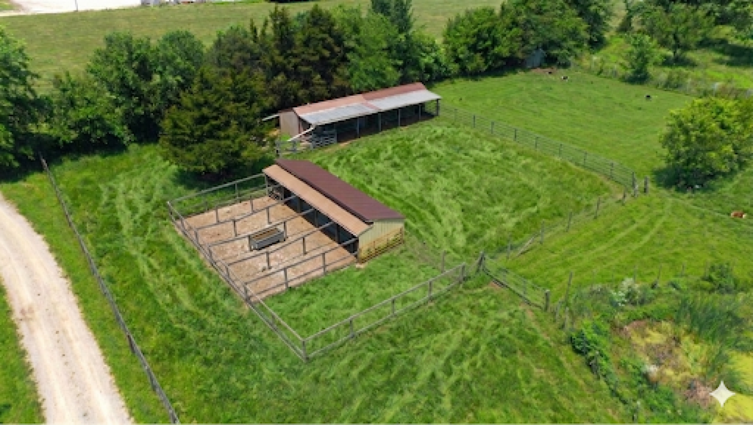 Ranch Home With Shed-Row Barn & Pasture - photo 4