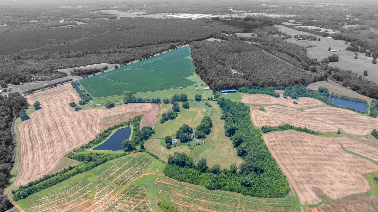 Horse Property for sale.