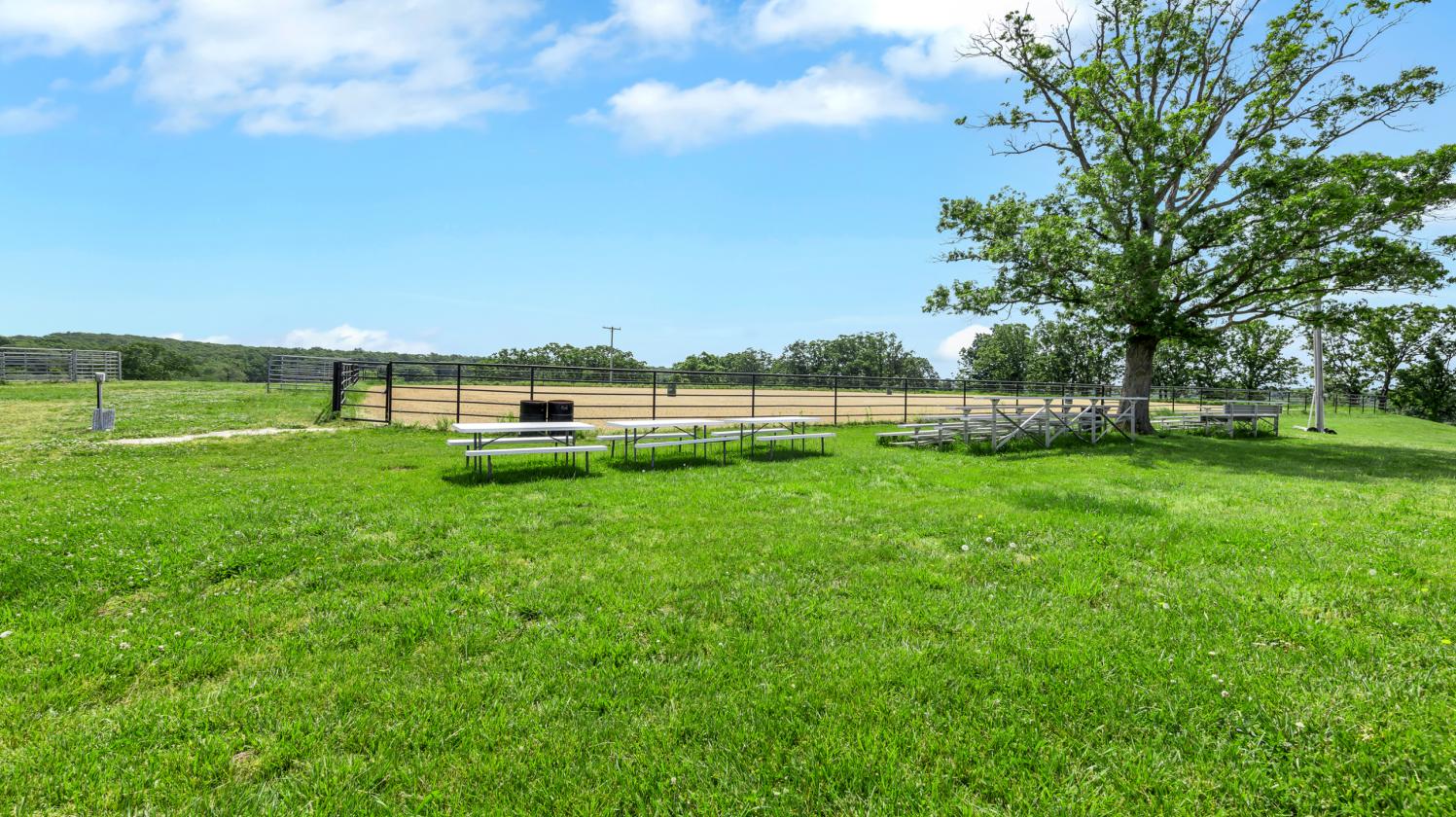 The Ultimate Equestrian Business Opportunity - photo 18