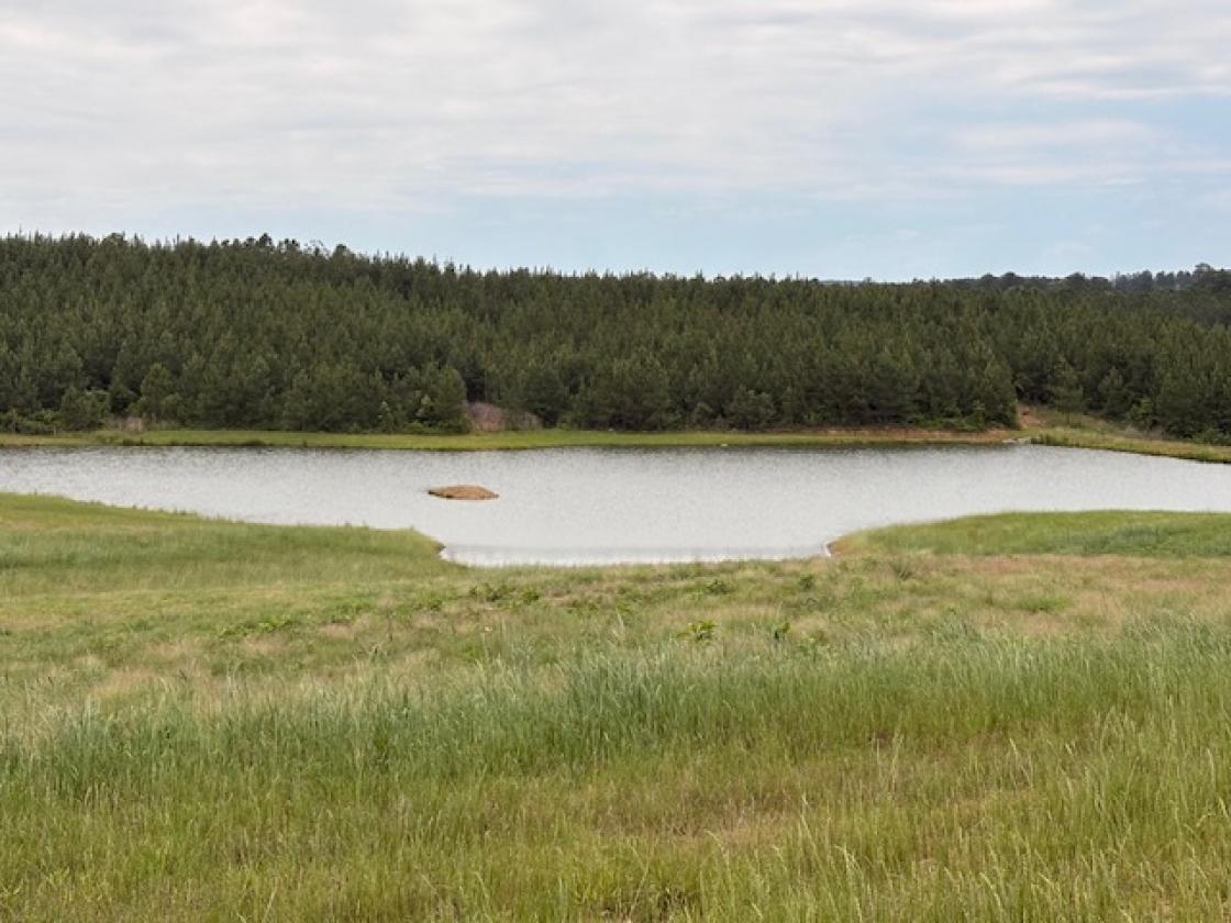 160 Acres in Shelby County w/ pastures and lake - photo 1