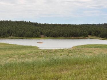 Property image.