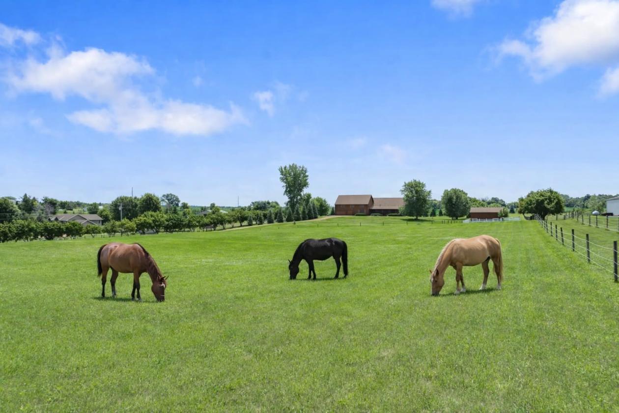 Horse Property next to Park Reserve with Trails - photo 1