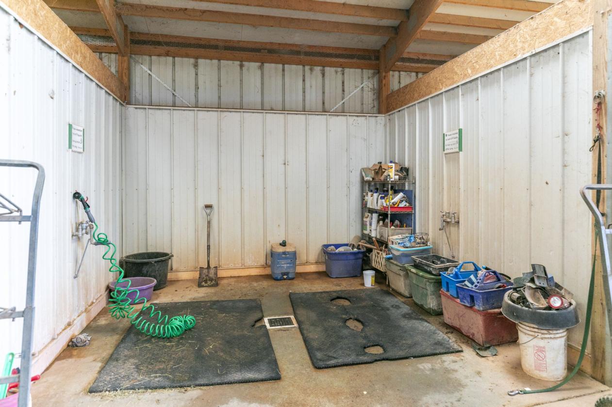 Professional Boarding/Training Facility - photo 7