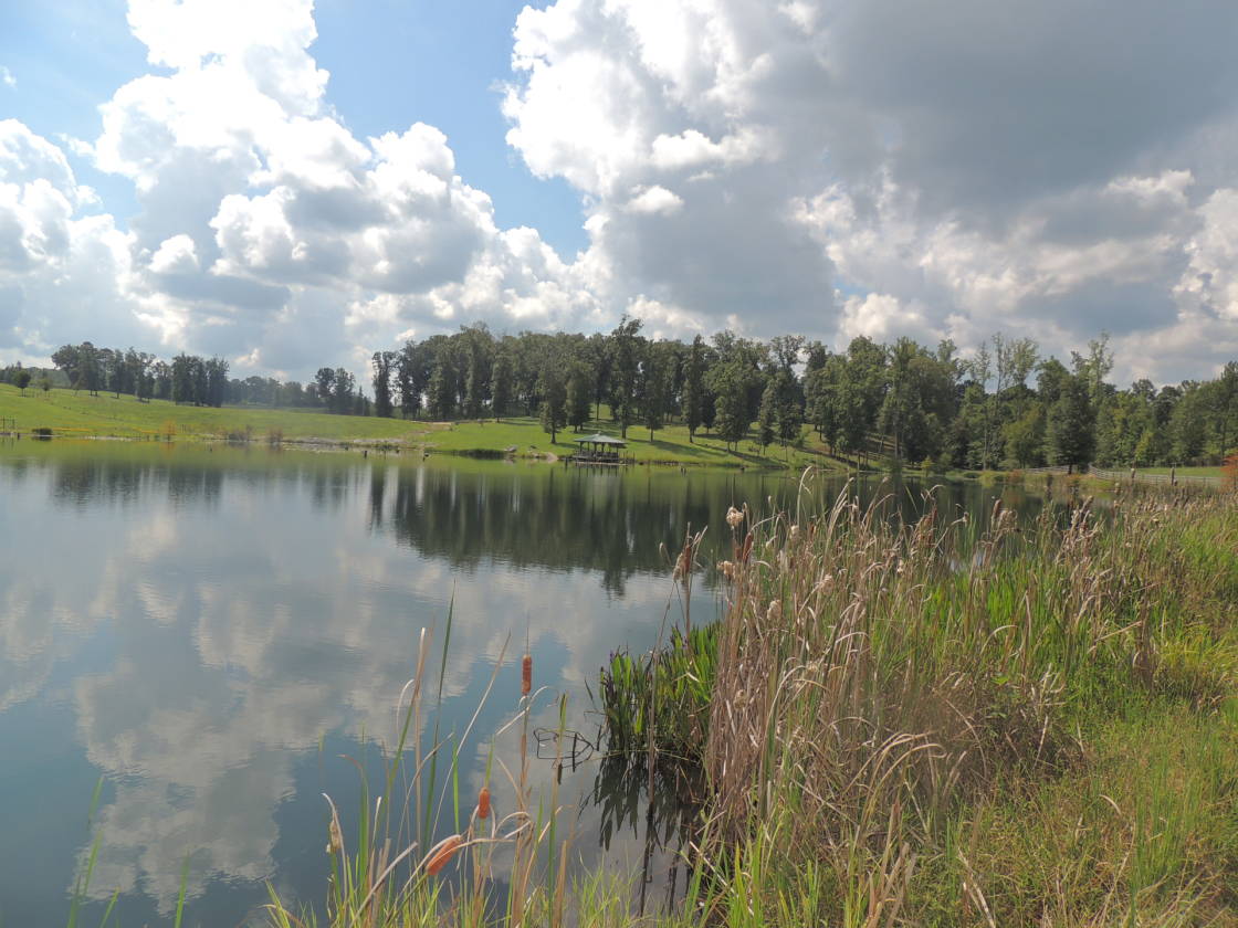 Horse Property For Sale Big Oak Farms 100 Acre Cattle & Horse Farm