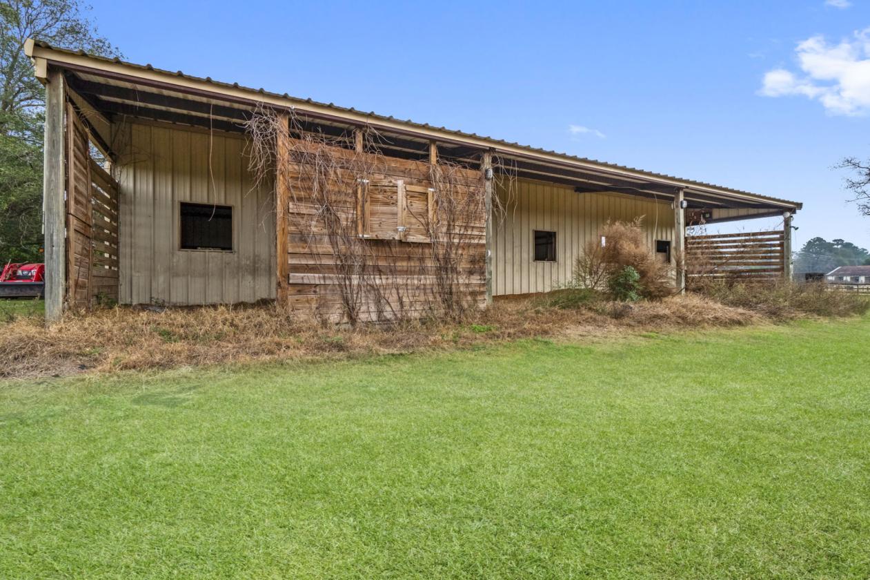 Great Horse Farm or Investment - photo 4