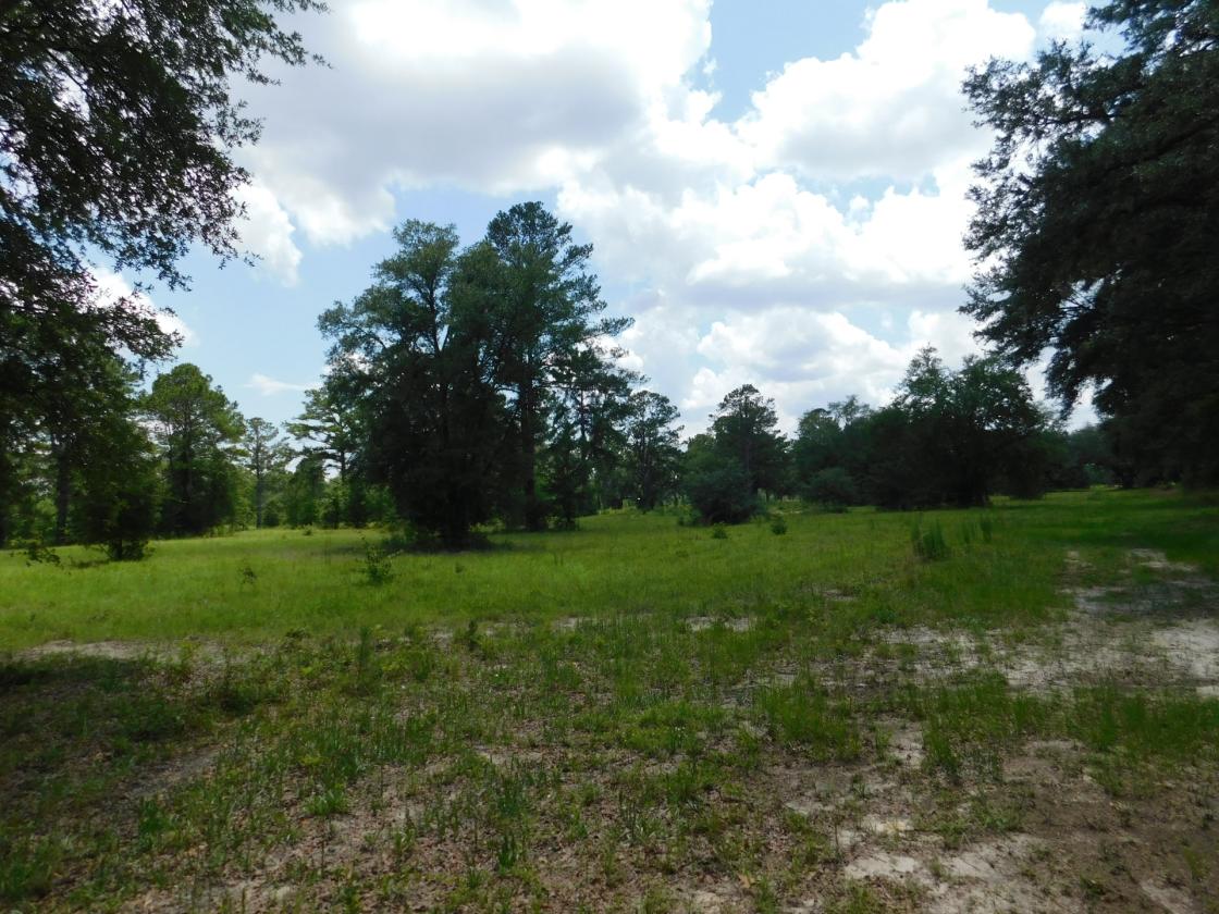 Lowcountry Paradise, waiting for your creativity - photo 9