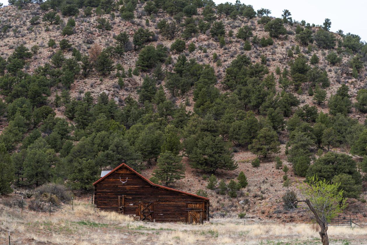 The Stagecoach - photo 29