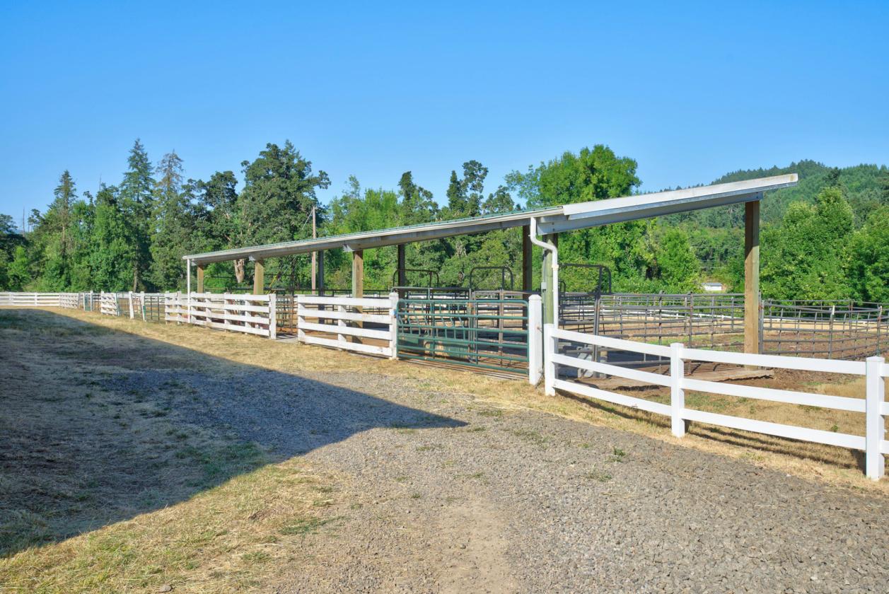 Luxury Equine and Cattle Ranch in Western Oregon - photo 14