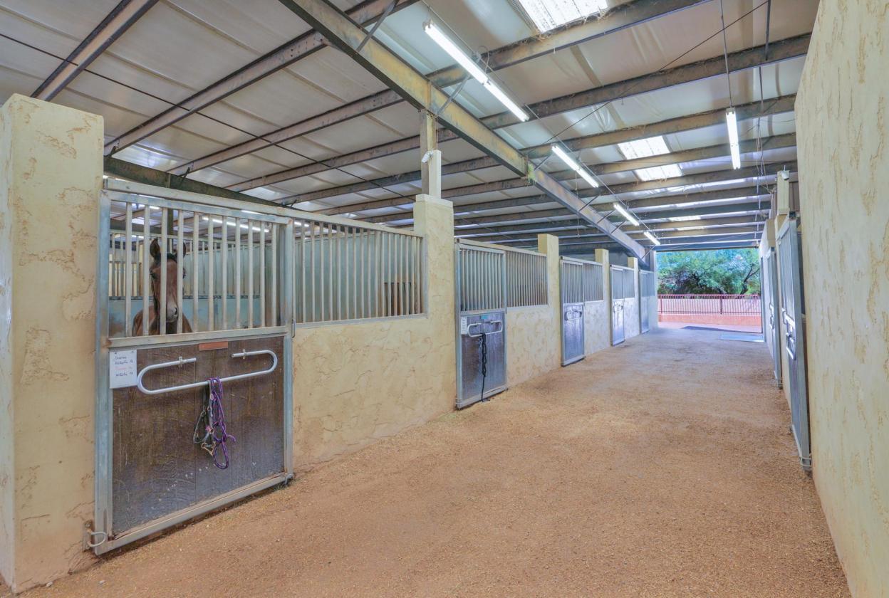 Equine Breeding, Training and Therapy Facility - photo 11