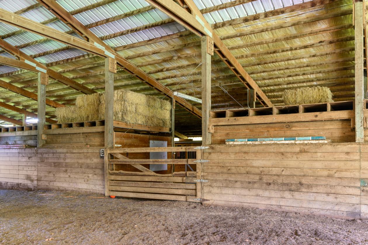 Amazing Farmhouse/Equestrian Property - photo 15
