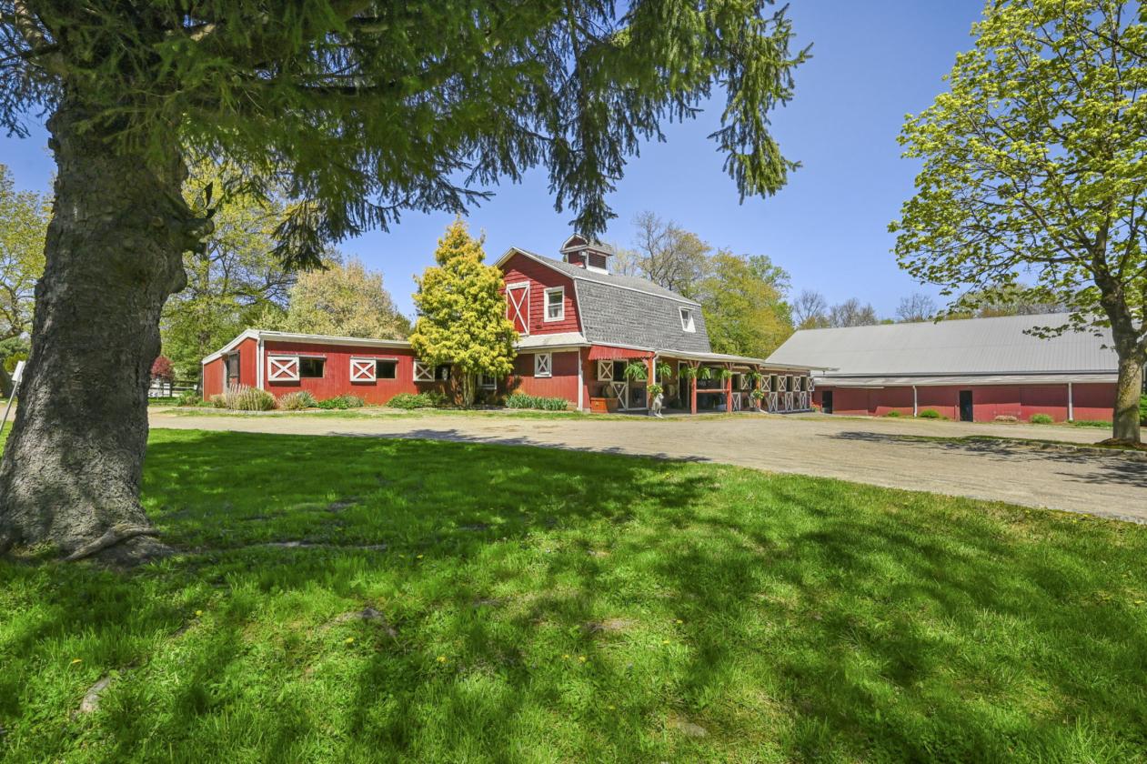 Silvermine Farm on 7 Acres Amazing Value - photo 27