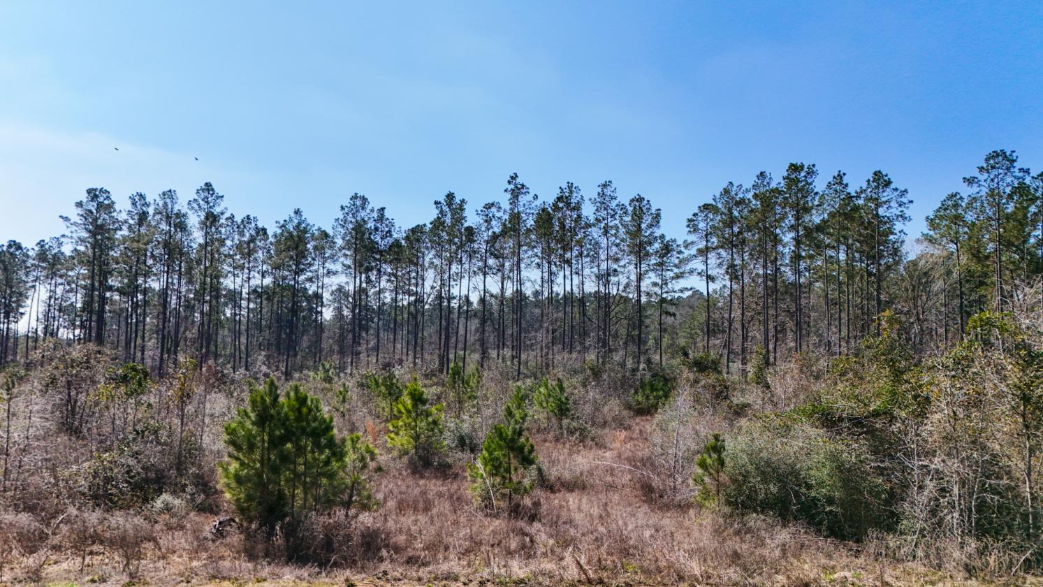 Land available ready to build your dream home - photo 7