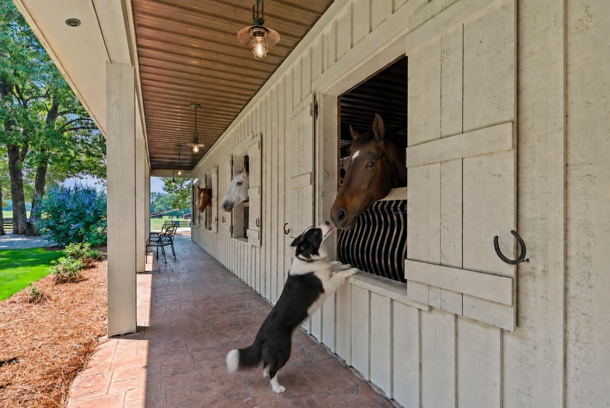 Luxury Equestrian Estate - 96 Acres - photo 10