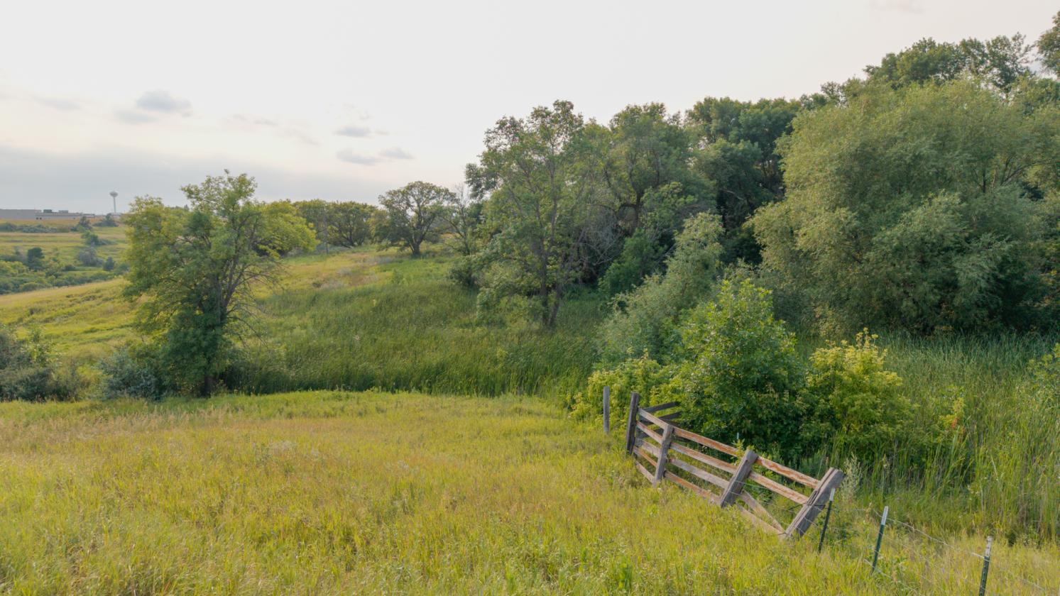 62+ Acre Farmstead w/ Barns, Pasture, and a View! - photo 10