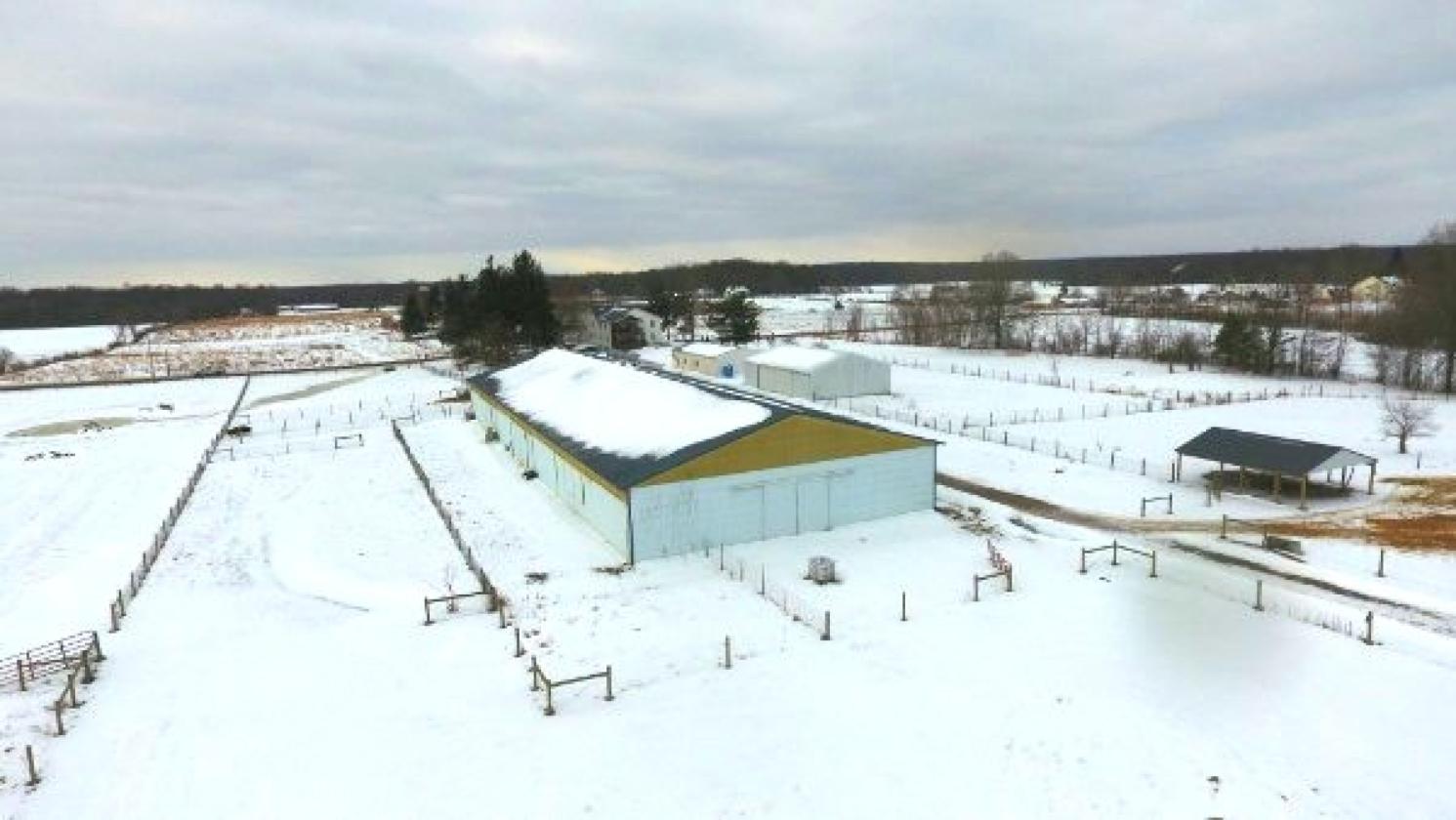12 Acre farm with additional land available - photo 7