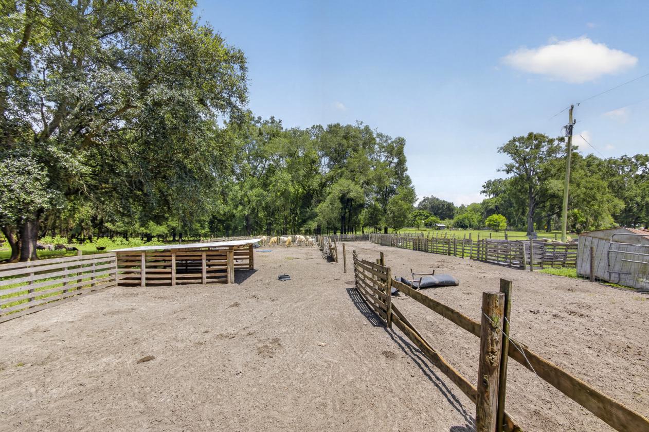 10-acre agricultural property - photo 16