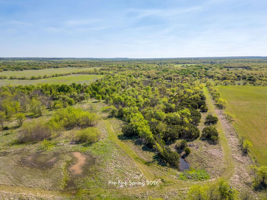 AG EXEMPT 97+ ACRES WITH PASTURE LAND & 4 TANKS - photo 17